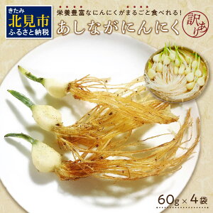 yӂ邳Ɣ[Łzy\F2026N1{珇zy󂠂zȂɂɂ 60g×4 ( Y kCY  ɂɂ jjN A Zbg lߍ킹 )