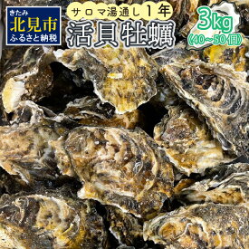 【ふるさと納税】【予約：2024年11月上旬から順次発送】サロマ湖湯通し1年 活貝牡蠣3キロ 40～50個 ( カキ 魚介類 期間限定 3kg )