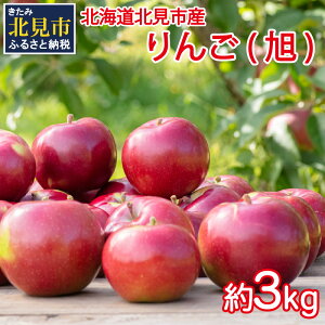 yӂ邳Ɣ[Łzy\F2025N10珇zkCksY   3kg (  S ь ʕ t[c Ԍ )