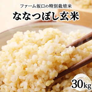 yӂ邳Ɣ[Łzߘa7NY t@[̓ʍ͔| ȂȂڂ 5kg~30kg