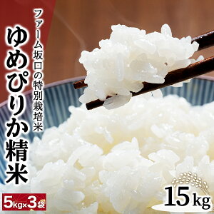 yӂ邳Ɣ[Łzߘa7NY t@[̓ʍ͔| ߂҂肩 5kg~15kg
