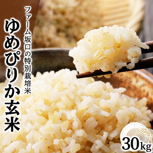 yӂ邳Ɣ[Łzߘa7NY t@[̓ʍ͔| ߂҂肩 5kg~30kg