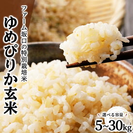 【ふるさと納税】令和7年産 ファーム坂口の特別栽培米 ゆめぴりか玄米 5kg~30kg