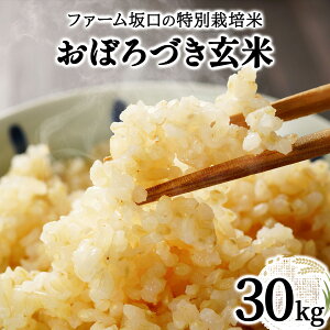 yӂ邳Ɣ[ŁzIׂeʁߘa7NY!t@[̓ʍ͔| ڂÂ 5kg~30kg | kC〈Y ڂÂ  5kg 10kg 15kg 30kg kC 〈s