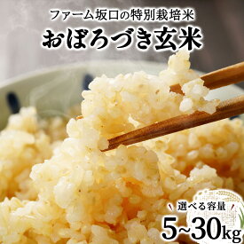 【ふるさと納税】＜選べる容量＞令和7年産!ファーム坂口の特別栽培米 おぼろづき玄米 5kg~30kg | 北海道岩見沢産 おぼろづき 玄米 5kg 10kg 15kg 30kg 北海道 岩見沢市