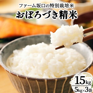 yӂ邳Ɣ[ŁzIׂeʁߘa7NY!t@[̓ʍ͔| ڂÂ 5kg~15kg | kC〈Y ڂÂ  5kg 10kg 15kg kC 〈s
