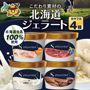 【ふるさと納税】STELLA CIELO 北海道ジェラート《選べる4種セット》 | 北海道ミルク 北海道クリームチーズ 北海道産十勝あずき 北海道とうもろこし ラベンダー 北海道恵比寿かぼちゃ チョコ