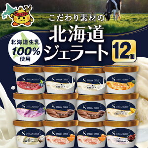 【ふるさと納税】STELLA CIELO 北海道ジェラート12個 | 北海道ミルク チョコラータ 北海道クリームチーズ 北海道十勝あずき 北海道恵比寿かぼちゃ 北海道赤肉メロン 北海道ハスカップ ラベンダ