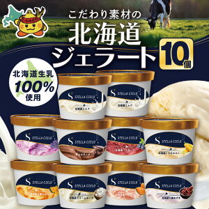 yӂ邳Ɣ[ŁzSTELLA CIELO kCWF[g10 | kC~N `R[^ kCN[`[Y kCY\ kCbڂ kCԓ kCnXJbv x