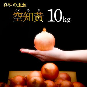 yӂ邳Ɣ[ŁzeʂIׂ遄^̋ʔK@m@5kg/10kg C̃~lňĂ̋ʔKmy50105z