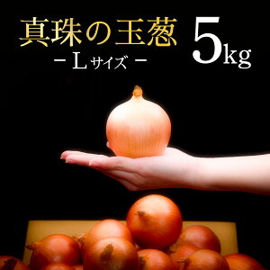 yӂ邳Ɣ[Łz^̋ʔK LTCY5kgC̃~lňĂʔKy50103z