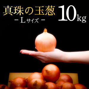 【ふるさと納税】<選べる内容量>真珠の玉葱 Lサイズ5kg/10kg ≪海のミネラルで育てた玉葱≫【50103】
