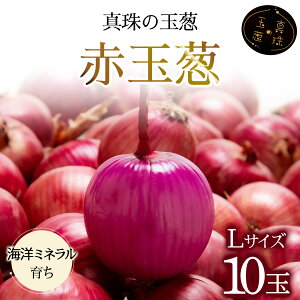 yӂ邳Ɣ[Łz^̋ʔK ԋʔKLTCY10ʁC̃~lňĂʍ͔|ʔKy50107z