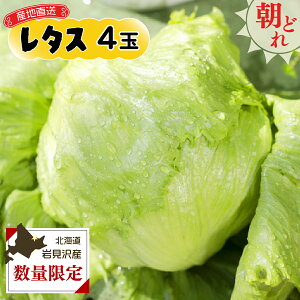 yӂ邳Ɣ[Łzs\s̖ڗ@kC〈Y@^X4