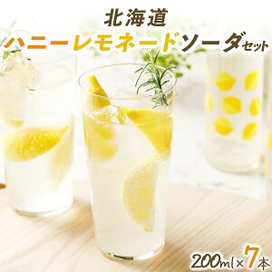 yӂ邳Ɣ[ŁzkCnj[l[h\[_̃Zbg 7{iHLN-07j  kC 〈 〈s ӂ邳Ɣ[ nj[  \[_ l[h 200ml m[Xt@[Xg