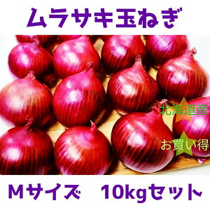 yӂ邳Ɣ[ŁzkC〈sY ʂ˂MTCY10kgy09116z