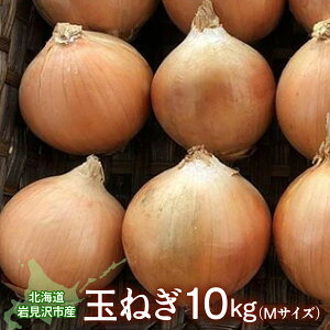 yӂ邳Ɣ[ŁzkC〈sY ʂ˂MTCY10kgy09126z