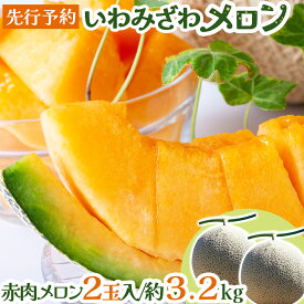 【ふるさと納税】「寄附額改定↓」＜先行予約＞産地直送！北海道『いわみざわメロン2玉（赤肉）』2026年夏にお届け！【18106】メロン 北海道 赤肉 2玉 セット ティアラ ルピアレッド ふるさと納税 岩見沢 岩見沢市 旬 お取り寄せ 甘い 果物 フルーツ ギフト 贈り物