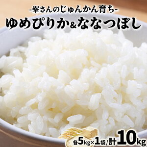 yӂ邳Ɣ[Łzߘa6NYÍu񂩂炿v߂҂肩&ȂȂڂ e5kg