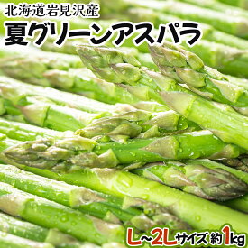 【ふるさと納税】【先行予約/令和7年産】北海道岩見沢産　夏グリーンアスパラ　L〜2Lサイズ 1kg【41104】北海道 岩見沢市 アスパラガス 野菜 夏野菜 旬 新鮮 産地直送 採れたて