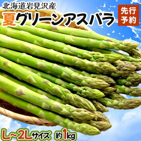 【ふるさと納税】【先行予約／令和8年産】北海道岩見沢産　夏グリーンアスパラ　L〜2Lサイズ 1kg【41104】北海道 岩見沢市 アスパラガス 野菜 夏野菜 旬 新鮮 産地直送 採れたて