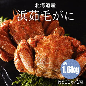 yӂ邳Ɣ[Łzl䥖т 800g×2ikCYj y ӂ邳Ɣ[ lC  LO т уKj Jj  ɏ ɖX  kC ԑs  z ABC003
