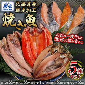 【ふるさと納税】網走加工焼き魚セット 5種【 ふるさと納税 人気 おすすめ ランキング ほっけ ホッケ にしん 鰊 サクラマス 桜ます 干物 一夜干し 開き 粕漬け 西京漬け 秋鮭 鮭粕漬 鮭 魚 北海道産 お手軽 簡単 冷凍 絶品 オホーツク 北海道 網走市 送料無料 】 ABB133