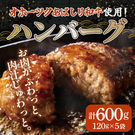 【ふるさと納税】＜網走産＞【オホーツクあばしり和牛】ハンバーグ・総重量 600g（120g×5個） 【 ふるさと納税 人気 おすすめ ランキング 牛ハンバーグ オホーツクあばしり和牛 和牛100% 北海道 網走市 送料無料 】 ABW016