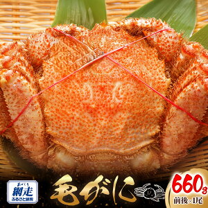 yӂ邳Ɣ[ŁzԑY т660gO×1y ӂ邳Ɣ[ lC  LO  Jj I уKj т ъI ԑY Ⓚ I݂ Jj݂ IX Iz[cN kCY kC 