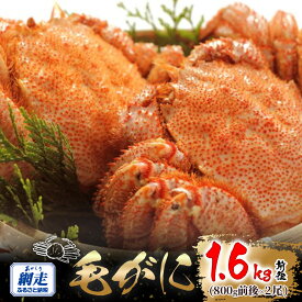 【ふるさと納税】網走産 毛がに1.6kg前後（800g前後×2尾）【 ふるさと納税 人気 おすすめ ランキング かに カニ 蟹 毛ガニ 毛がに 毛蟹 網走産 冷凍 蟹みそ カニみそ 蟹味噌 オホーツク 北海道産 北海道 網走市 送料無料 】 ABW109