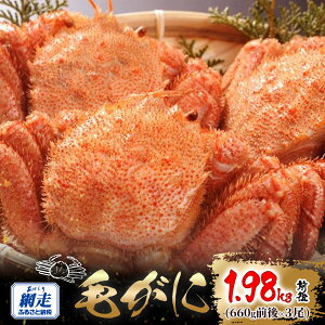 yӂ邳Ɣ[ŁzԑY т1.98kgOi660gO×3jy ӂ邳Ɣ[ lC  LO  Jj I уKj т ъI ԑY Ⓚ I݂ Jj݂ IX Iz[cN kC