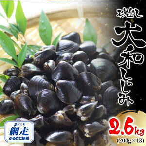 yӂ邳Ɣ[ŁzԑΎY oa 2.6kg(200g×13jyӂ邳Ɣ[ lC  LO  VW~  ݊L VW~L ݏ` X` a aVW~ o 