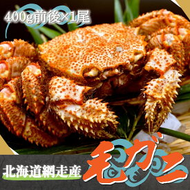 【ふるさと納税】北海道網走産毛ガニ（400g前後×1尾） 【 ふるさと納税 人気 おすすめ ランキング 毛がに 毛ガニ かに 蟹 網走産 濃厚 かに味噌 みそ 海鮮 新鮮 オホーツク 北海道 網走市 送料無料 】 ABE081