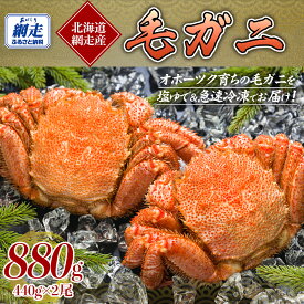 【ふるさと納税】網走産 毛ガニ 440g×2尾【 ふるさと納税 人気 おすすめ ランキング 毛蟹 毛ガニ 毛がに 浜茹で まるごと 2尾 かに味噌 北海道 網走市 送料無料 】 ABE091