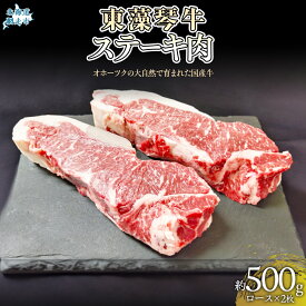 【ふるさと納税】【数量限定】東藻琴牛ステーキ肉 【ふるさと納税 人気 おすすめ ランキング 牛肉 ビーフ 東藻琴牛 国産牛 ひがしもこと牛 ステーキ ステーキ肉 北海道 網走市 送料無料】ABM1002