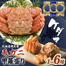 【ふるさと納税】【先行受付】ケダマ 1~6尾 網走産 毛ガニ かに ≪ 毛がに まるまる1尾全部盛り≫ 【 ふるさと納税 かに 北海道 カニ 毛がに 毛蟹 毛ガニ 蟹 ガニ kani ふるさと 人気 おすすめ ランキング 網走 北海道 網走市 送料無料 （26年4月以降順次発送） 】