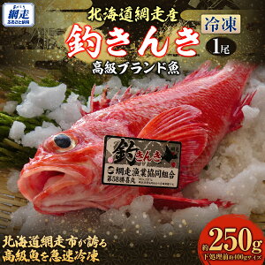 yӂ邳Ɣ[Łzys\zyԑYzuhނ 1yⓀzi2025N515菇j y ӂ邳Ɣ[ lC  LO  ނ LL  Ⓚ 