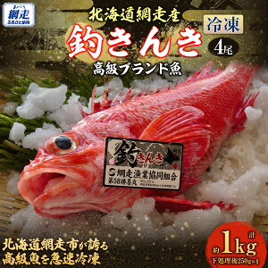 yӂ邳Ɣ[Łzys\zyԑYzuhނ 4yⓀzi2025N515菇j y ӂ邳Ɣ[ lC  LO  ނ LL  Ⓚ 