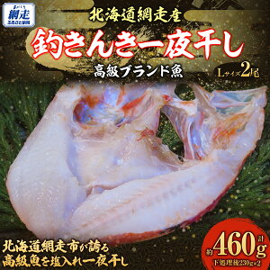 yӂ邳Ɣ[Łzys\zuhނ񂫈銱yLTCYz 2i2025N515菇j yӂ邳Ɣ[ lC  LO  ނ LL 銱 