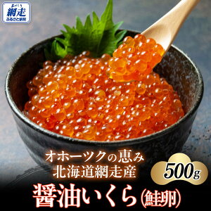 yӂ邳Ɣ[Łzy2025NVzkCԑYݖij500gy ӂ邳Ɣ[ lC  LO  CN ݖ ݖЂ ݖ 瘥 CN i 500g Ⓚ 