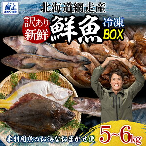 yӂ邳Ɣ[Łzy󂠂zԑYⓀNBOX`p̗LpiƐY҉j` y ӂ邳Ɣ[ lC  LO  Ȃ ^ ɂ ꂢ  