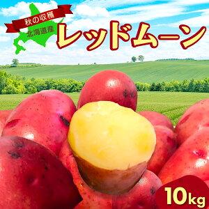 yӂ邳Ɣ[Łzys\zH̎nbh[Ⴊ 10kgi2025N915ȍ~jy ӂ邳Ɣ[ lC  LO bh[ Ⴊ WKC  C 