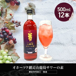 yӂ邳Ɣ[ŁzIz[cNԑRT[̑f 500ml×12{iԑsHEjy ӂ邳Ɣ[ lC  LO ԂǂT[ T[ uhET[ f  X Iz