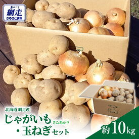【ふるさと納税】じゃがいも(きたあかり)玉ねぎセット 約10kg（網走産） 【 ふるさと納税 人気 おすすめ ランキング じゃがいも ジャガイモ いも きたあかり 玉ねぎ タマネギ 玉葱 たまねぎ 野菜 セット オホーツク 北海道 網走市 送料無料 】 ABP001