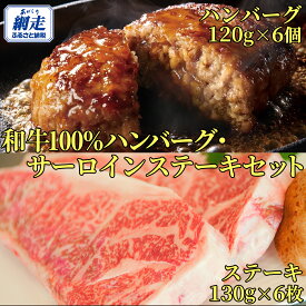 【ふるさと納税】＜網走産＞【オホーツクあばしり和牛】ハンバーグ・サーロインステーキセット 総重量980g 【 ふるさと納税 人気 おすすめ ランキング ハンバーグ サーロイン ブランド和牛 ステーキ 北海道 網走市 送料無料 】 ABW008