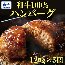 【ふるさと納税】＜網走産＞【オホーツクあばしり和牛】ハンバーグ・総重量 600g（120g×5個） 【 ふるさと納税 人気 おすすめ ランキング 牛ハンバーグ オホーツクあばしり和牛 和牛100% 北海道 網走市 送料無料 】 ABW016
