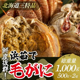 【ふるさと納税】【網走産】鮮度抜群！三特浜茹で毛がに 約500g×2尾 【 蟹 かに カニ かに大将 毛ガニ北海道 毛ガニ はまゆで 毛ガニ浜ゆで冷凍 海鮮 魚介 産地直送（北海道） 工場直送（網走市） 小分け 魚介類 人気 ランキング おすすめ 国産 オホーツク 訳あり 】 ABW007