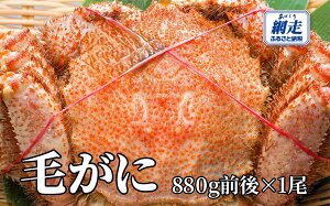 yӂ邳Ɣ[ŁzԑY т800gO×1y ӂ邳Ɣ[ lC  LO  Jj I уKj т ъI ԑY Ⓚ I݂ Jj݂ IX Iz[cN kCY kC 