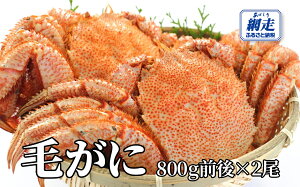 yӂ邳Ɣ[ŁzԑY т1.6kgOi800gO×2jy ӂ邳Ɣ[ lC  LO  Jj I уKj т ъI ԑY Ⓚ I݂ Jj݂ IX Iz[cN kC