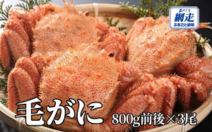 yӂ邳Ɣ[ŁzԑY т2.4kgOi800gO×3jy ӂ邳Ɣ[ lC  LO  Jj I уKj т ъI ԑY Ⓚ I݂ Jj݂ IX Iz[cN kC